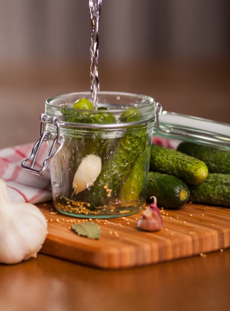 Homemade canned dill pickles in glass jars with fresh garlic and dill sprigs