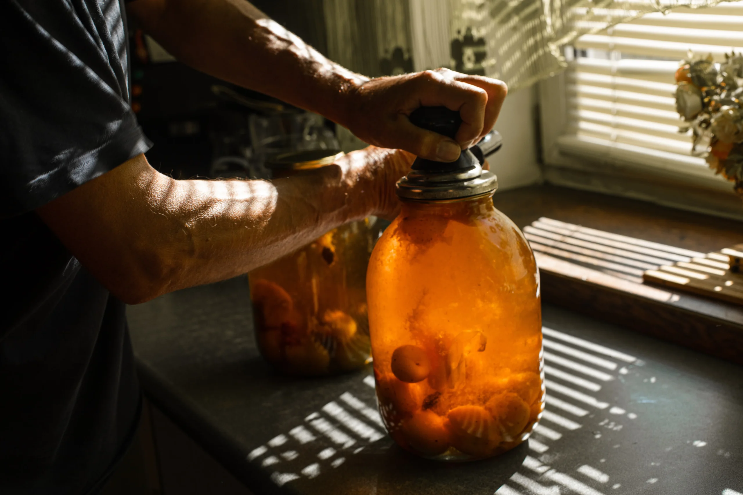 Active Ginger Bug in a glass jar with bubbles, cloth cover, and fresh ginger and sugar on a wooden countertop