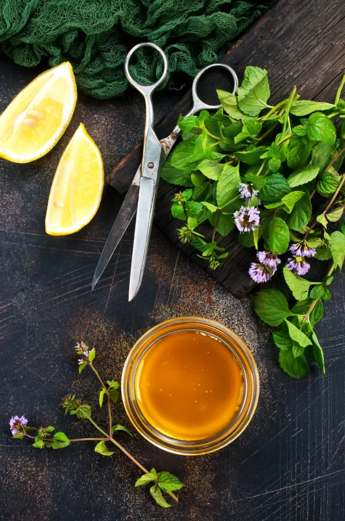 Fresh lemon balm leaves used in a soothing and refreshing herbal tea recipe for beginners