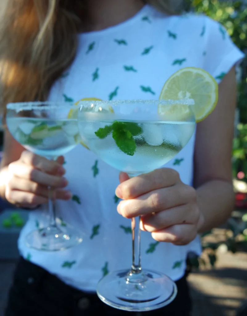 Refreshing Hugo Spritz cocktail with prosecco, elderflower syrup, lime slices, mint leaves, and ice in a wine glass